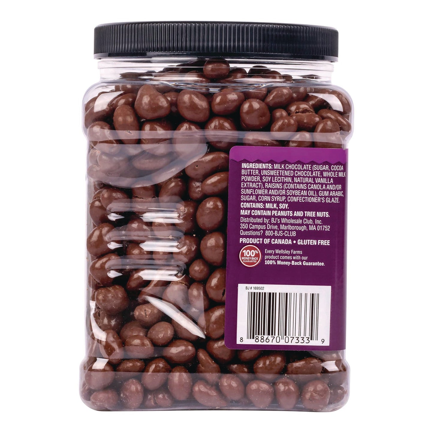 Wellsley Farms™ Milk Chocolate Covered Raisins, 50 oz Jar