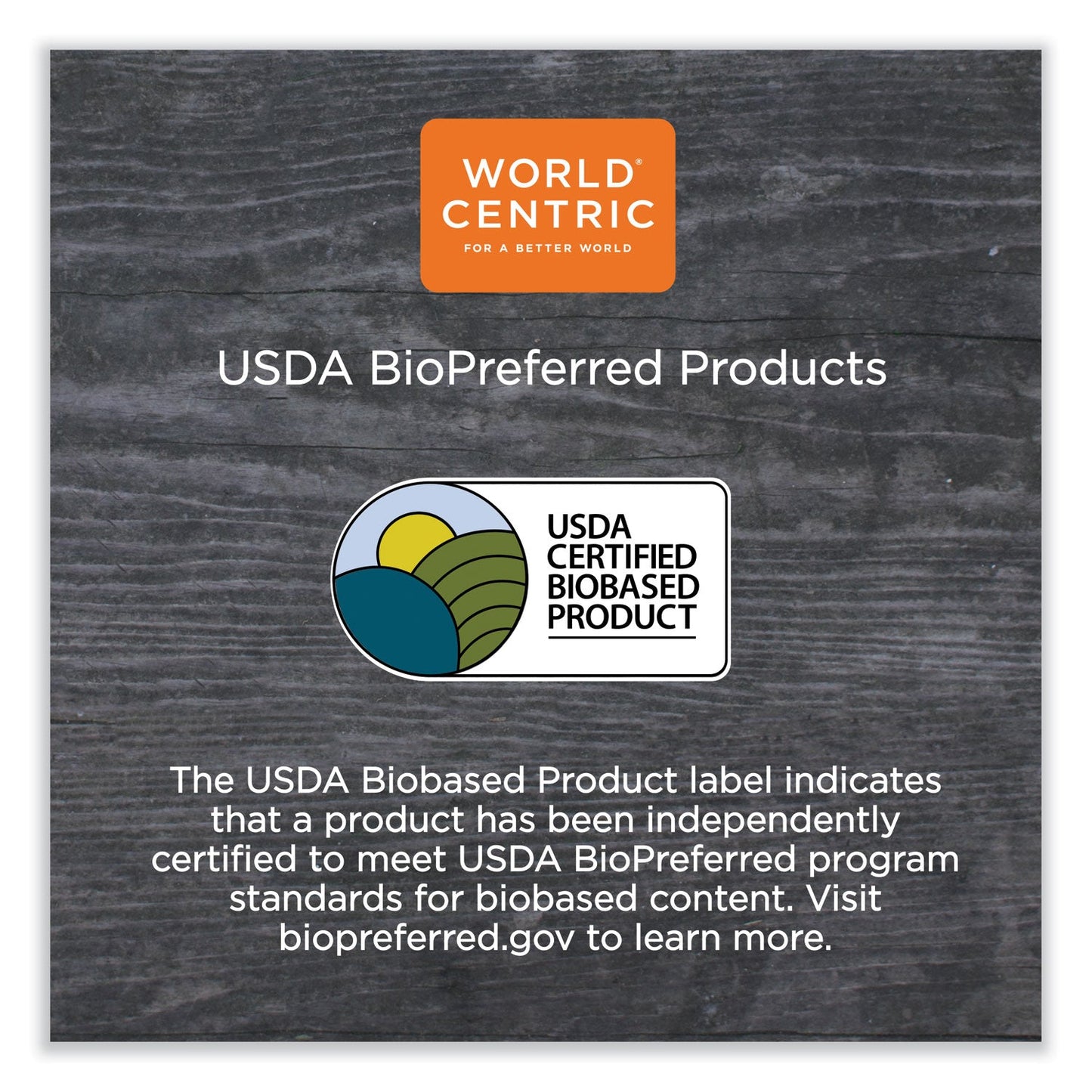 World Centric® Fiber Plates, Paper, 10.1" dia, Natural, 800/Carton