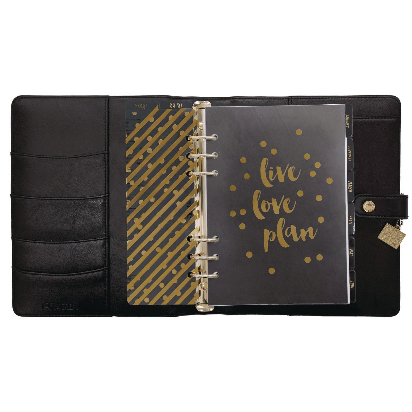 PUKKA PAD® A5 Planner, 10.24 x 9.25, Black Cover, 12-Month