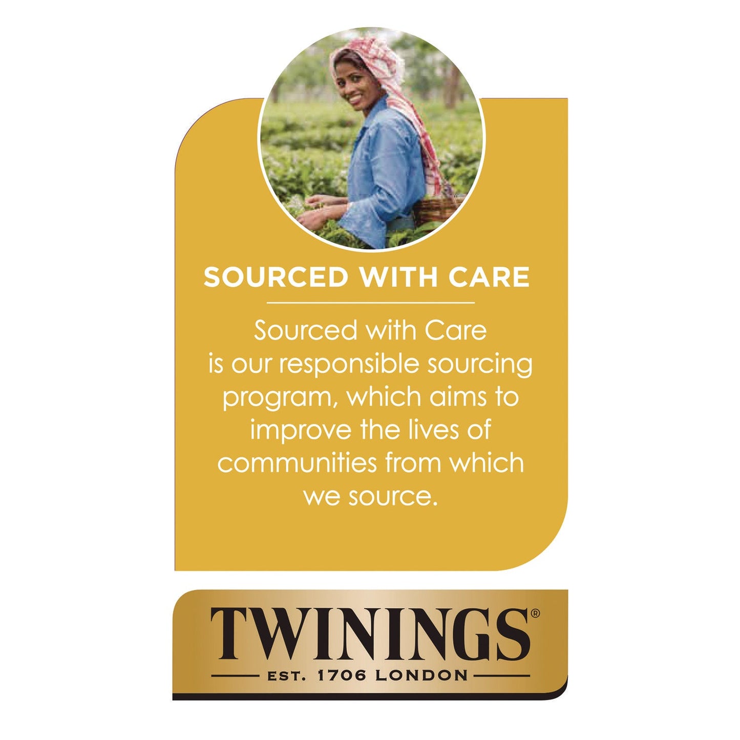 TWININGS® Probiotics+ Herbal Lemon and Ginger Tea, 24/Box
