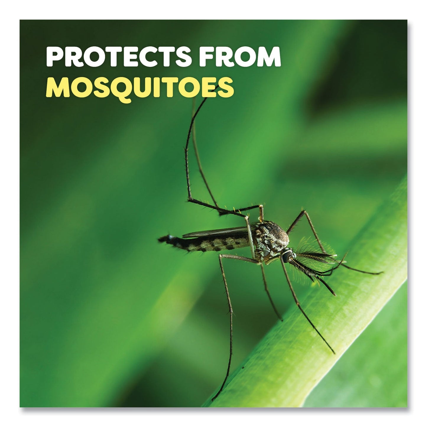 OFF!® Deep Woods Dry Insect Repellent, 4 oz Aerosol Spray, Neutral, 12/Carton